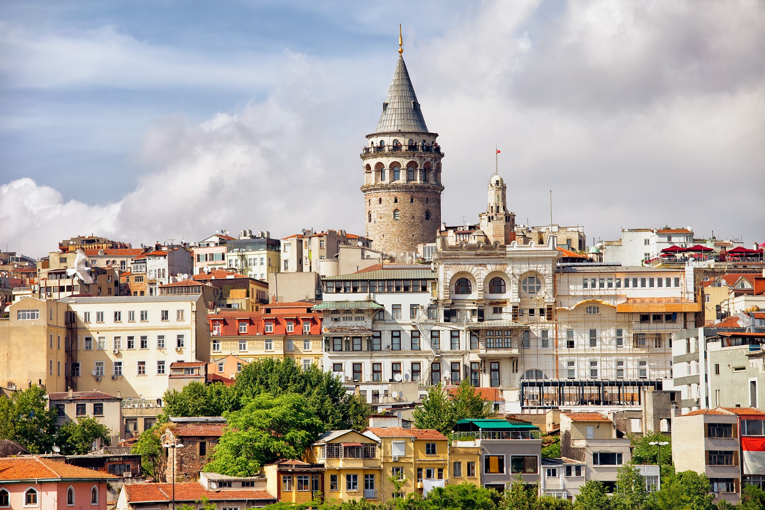 shutterstock_175627325